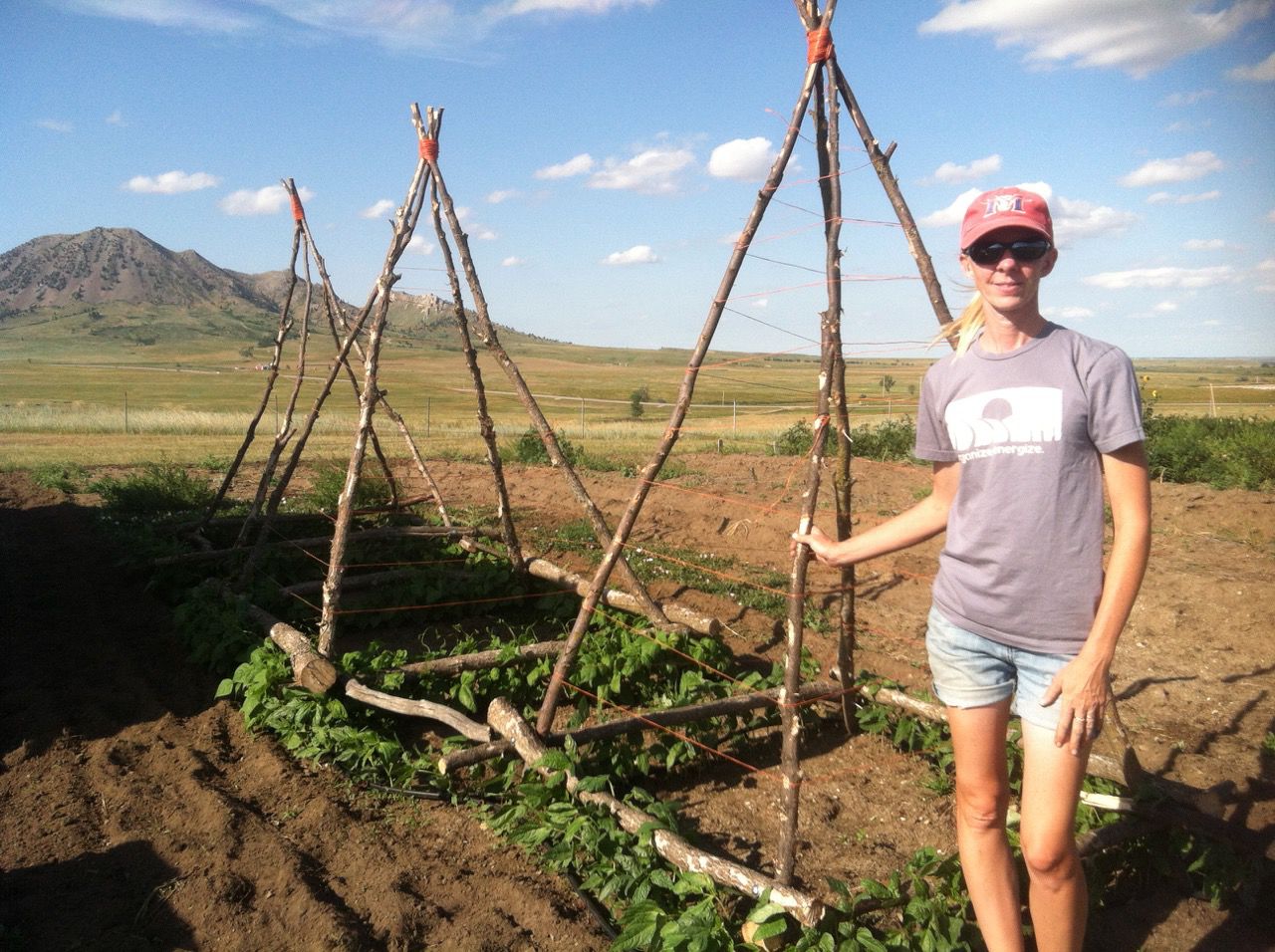 Bear Butte Gardens climbing beans